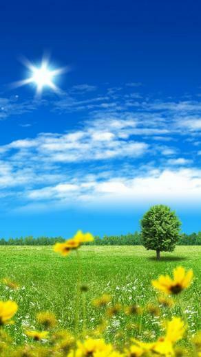 HD Samsung Wallpaper For Mobile