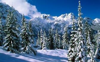 Winter Wonderland Dreamy Snow Scene Wallpaper No Desktop