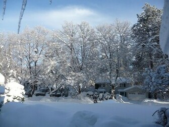 Winter Wonderland Wallpaper