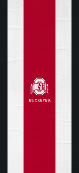 Ohio State Football iPhone Wallpaper