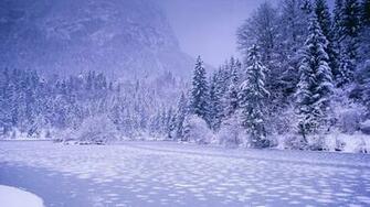 Winter Nature Wallpaper Image