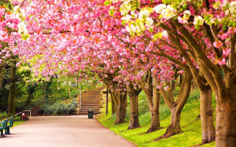 Beautiful Spring Wallpaper On