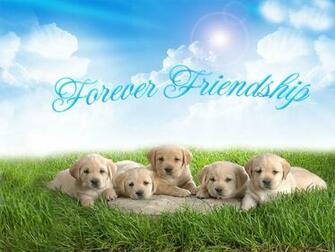 Friendship Day Wallpaper Pics Cute Of
