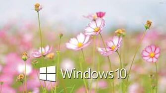 Windows Wallpaper