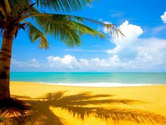 Background Live Ocean Desktop Water Liquid