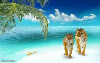 Top Amazing Beach HD Wallpaper Romantic