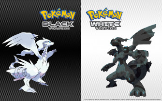 Pokemon Black Wallpaper
