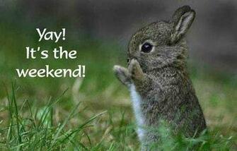 Happy Weekend Wallpaper Wishes Pictures