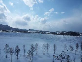 Best Image About Winter Olympics