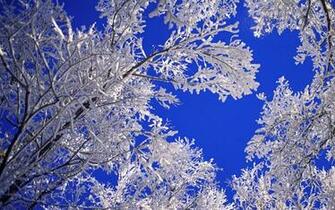 Beautiful Winter Scenes Wallpaper For