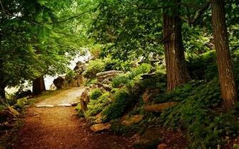 Hill Woods Scenic Wallpaper Desktop Background Scenery