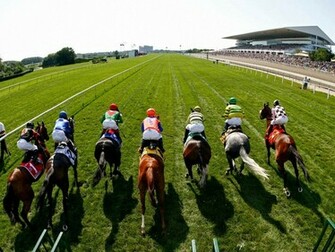 Horse Racing Arlingtonturf Wallpaper