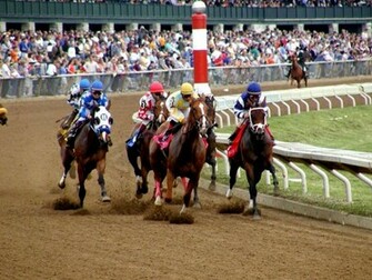 Horse Racing Wallpaper HD