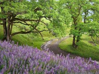 Spring Desktop Wallpaper HD