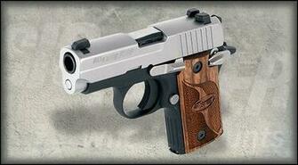 P238 Sas