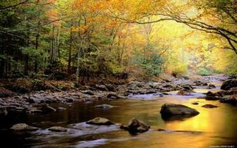 3d HD Wallpaper Nature Bestscreenwallpaper Real