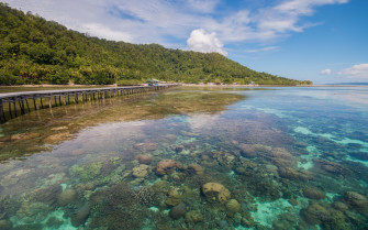 Papua 1080p 2k 4k Full HD Wallpaper
