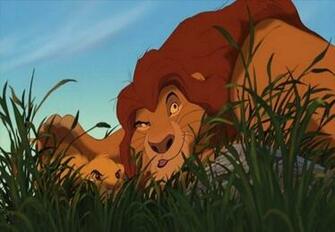 The Disney World Lion King Wallpaper Of Judah