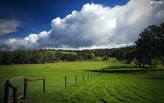 Green Farm Fields Wallpaper