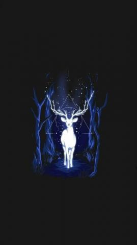 Erika Salazar On Fond Ecran Harry Potter Painting