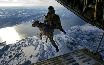 Military Humor People Warrior Soldier Aircraft Parachute Wallpaper