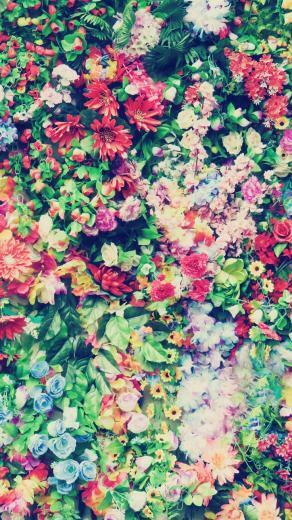 Floral iPhone Plus Wallpaper For A Sunny Spring Preppy