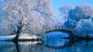 Nature Winter HD Desktop Wallpaper High Quality Background