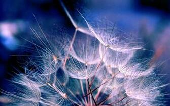Aesthetic Wallpaper HD Windows