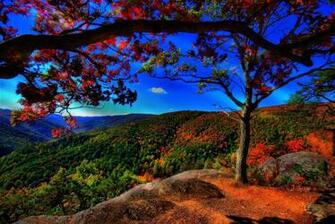 Nature Scenery Beautiful Pictures On