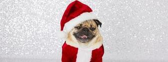 Doug The Pug Christmas Wallpaper Claires