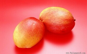 Mango Cate Wallpaper Windows Xp