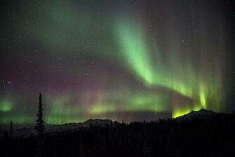 Northern Lights Never Cease To Impress iPhone Wallpaper