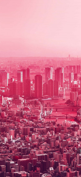 Pink City Wallpaper