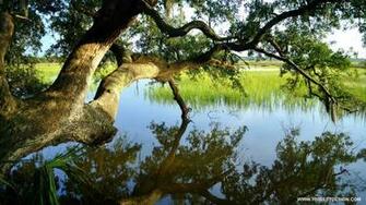 Top Nice Nature Desktop Wallpaper And Background Landscapes