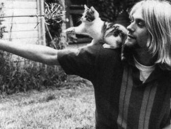 Wallpaper Kitten Kurt Cobain Nirvana With