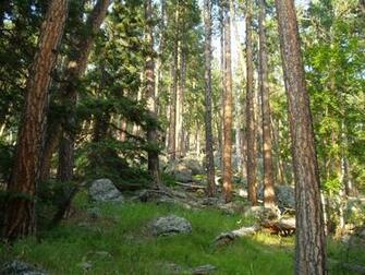 At Sylvan Lake In Custer State Park South Dakota The Black Hills