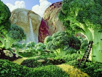 Vegetable Garden Wallpaper Gallery