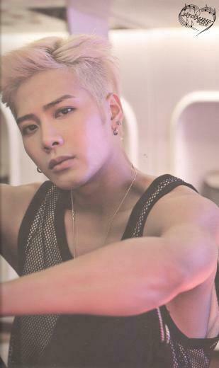 Got7 Jackson Wallpaper Ecopetit Cat