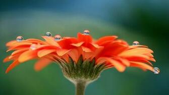 Beautiful Wallpaper For Desktop HD Most