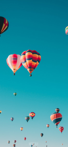 All Rise Realme Q Background Rare Gallery HD