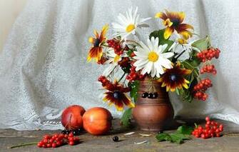 Wallpaper Chamomile Bouquet Still Life Kalina Nectarines