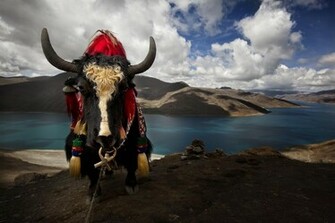 Tibet Wallpaper