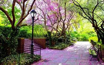Spring Park Wallpaper Photography