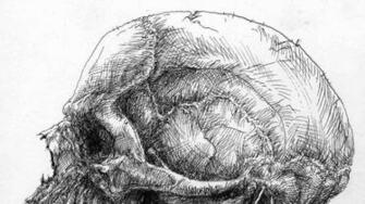Skull Zombies Anatomy Flesh Drawings Wallpaper Hq