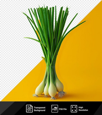 Premium Psd Wallpaper