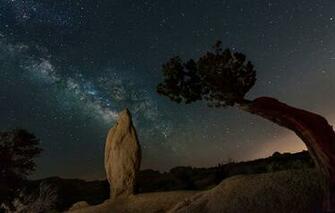 Joshua Trees National Park California Usa Night Stars Tree Rock