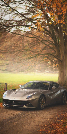 Ferrari F12 In An Incredible Color Phone Background