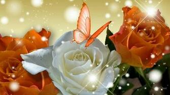 Orange Rose On High Wallpaper Nature And Landscape