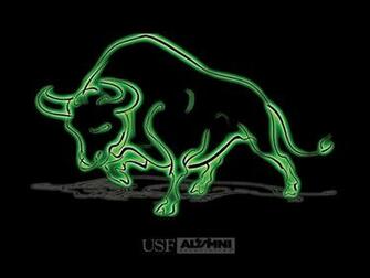 Usf Alumni Wallpaper