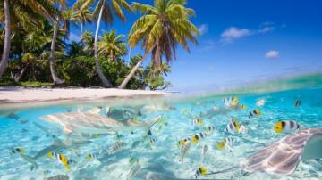 Crystal Clear Wallpaper And Background Image